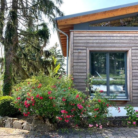 Balthasar Ress Guesthouse Am Rebhang Im Rheingau Oestrich-Winkel Εξωτερικό φωτογραφία