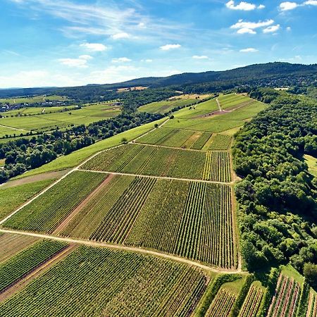 Balthasar Ress Guesthouse Am Rebhang Im Rheingau Oestrich-Winkel Εξωτερικό φωτογραφία